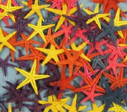 Dyed  Flat Starfish