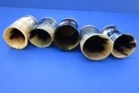 Wholesale Buffalo Horn cup with wood bottom - 4 inches tall - 2 pcs @ $6.00 each; 12 pcs @ $5.40 each 