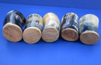 Wholesale Buffalo Horn cup with wood bottom - 4 inches tall - 2 pcs @ $6.00 each; 12 pcs @ $5.40 each 