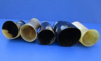 Wholesale Buffalo Horn cup with wood bottom - 5 inches tall - 2 pcs @ $8.50 each; 12 pcs @ $7.50 each