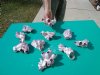 10 Small Purple Barnacles 3" - 5" for making shell mirrors and shell wreaths @ .40 each = $4.00