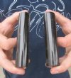 Two cylindrical Polished Buffalo Horn Scales, 4-1/2 inches long x 1 inch diameter (You are buying the ones pictured) for $13.50 each