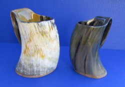 Wholesale 1000 ml Polished Cow/Cattle horn mug with wood base  - 2 pcs @ $18; 8 pcs @ $16 each