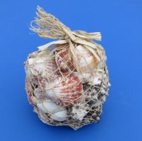 1000 grams wholesale bags of seashells in an open weave rope gift bag filled with mixed shells - Case of 24 @ $2.25 each 