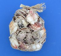 1000 grams wholesale bags of seashells in an open weave rope gift bag filled with mixed shells - Case of 24 @ $2.25 each 