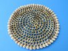 10" Wholesale Wicker and Cowrie Shell Placemats -  Packed: 6 pcs @ $2.75 each; Packed: 36 pcs @ $2.50 each 