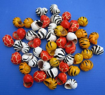Painted Hermit Crab Shells in Assorted Animal pattern designs and colors 1-1/4" to 2" - 50 pcs @ $.40 each;  200 pcs @ $.36 each