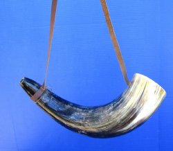 Buy this 19 inch Polished Buffalo blowing horn with leather strap for $25