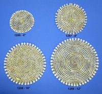 8 inch Wholesale Wicker and Cowrie Shell Placemats - 12 pcs @ $2.40 each