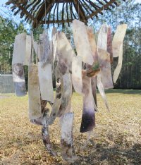 22 inches twig top with sliced saddle oyster shell wind chimes - 3 pcs @ $5.00 each; 12 or more @ $4.15 each