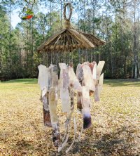 22 inches twig top with sliced saddle oyster shell wind chimes - 3 pcs @ $5.00 each; 12 or more @ $4.15 each