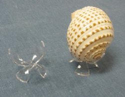 2-1/4 inches Wholesale Plastic Acrylic Egg Display Stands for Eggs, Glass Paperweight and Seashells - 12 pcs @ $1.30 each; 60 pcs @ $1.17 each