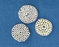 Wholesale 4 inch annulus cowrie seashell coasters