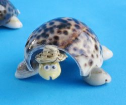 4 inches wholesale bobbing head tiger cowry shell turtle novelty wearing a hat - 12 pcs @ .90 each 