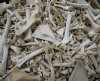 Assorted sizes of various whitetail deer bones, boar bones and wild pig bones wholesale - 1 inch to 8 inch pieces. (You are buying the ones similar to the photo) Min: 1 box 4lbs @ $7.50 / pound ($30 / box of 4lbs)