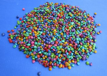 Wholesale tiny Dyed Umbonium shells, Button Top Shells 1/4 to 1/2 inch in size - Case of 25 kilos @ $5.15/kilo