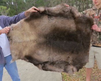 Reindeer Hide, Reindeer Skin Without Legs Grade B - (1 pc) 