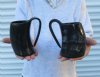 Wholesale Polished buffalo horn mug measuring 7" to 8-1/4" tall.  You are buying a buffalo horn mug similar to the ones pictured for $28.00 each; Packed: 12 pcs @ $25.00 each