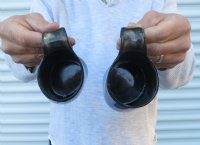 Wholesale Polished buffalo horn mug measuring 6" to 6-7/8"" tall - $19.00 each; 12 pcs @ $17.00 each  