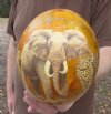 Decoupage Ostrich Egg, African Big 5 Animals 6 inches tall on orange backdrop (This is the egg you are buying) $45.00