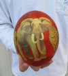 Decoupage Ostrich Egg, African Big 5 Animals 6 inches tall on red backdrop (This is the egg you are buying) $45.00