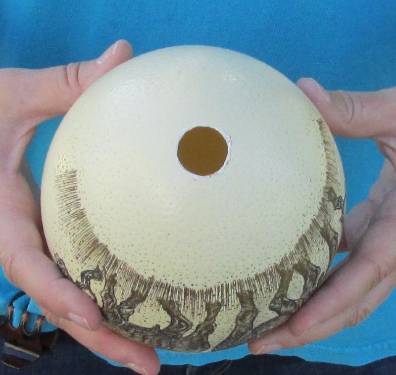 6 two Cape buffalo Scrimshaw Ostrich Egg