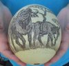 6" Two Cape buffalo Scrimshaw Ostrich Egg - you are buying the one pictured for $50