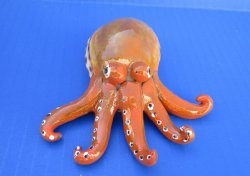 Painted Tiger Cowrie Octopus Novelty 3-1/2 inches long - 12 pcs @ $2.50 each; 36 pcs @ $2.25 each