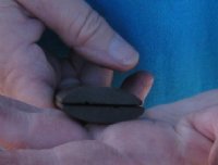 For Sale - One pair of Dyed Brown rounded buffalo bone scales, bone blanks - 5x1-1/4x1/4 - $12.00 a pair 