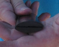 One pair of Dyed Brown rounded buffalo bone scales, bone blanks - 5x1-1/4x1/4 - For Sale for $12.00 a pair 