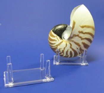4 leg 3-1/4 X 2-1/2 inches Plastic Display Stands, Shell Stands Wholesale - 12 pcs @ $1.65 each; 48 pcs @ $1.50 each