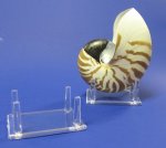 4 leg 3-1/4 X 2-1/2 inches Plastic Display Stands, Shell Stands Wholesale - Packed: 12 pcs @ $1.40 each; Packed: 48 pcs @ $.1.25 each (The shells shown are not included)