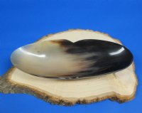 11 inches Wholesale Boat Shaped Buffalo Horn Bowls with "V" shape indentation on both sides - 2 pcs @ $12.50 each; 6 pcs @ $11.00 each
