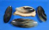 11 inches Wholesale Boat Shaped Buffalo Horn Bowls with "V" shape indentation on both sides - Packed: 2 pcs @ $12.50 each; Packed: 6 pcs @ $11.00 each
