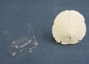 4 inch Wholesale Display Easel Stands for Agate Slices and Shells -12 pcs @ $2.00 each; 48 pcs @ $1.80 each