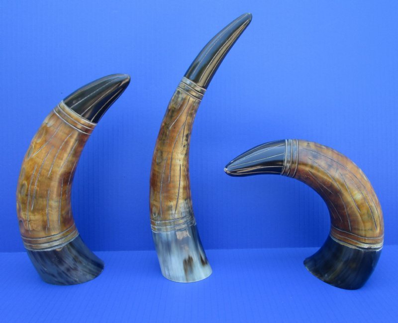 Wholesale Black and Brown Standing Decorative Buffalo horns with carving