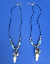 1/2  to 1-1/4  inches Wholesale Alligator Tooth Necklaces with silver cap and tiny silver gator with Blue, Brown and White tube beads 20 inches - Packed: 3 @ $4.25 each; Packed: 12 pcs @ $3.75 each