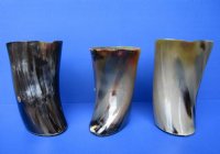 Wholesale Polished Buffalo Horn Beer Pitcher with Square wood handle 7-1/2 to 8-1/4 inches tall - $34.00 each; 4 pcs @ $30.00 each