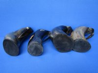 Wholesale Buffalo Horn Mug with an Engraved Native American Chief - 6 inch to 6-1/2 inch - <font color=red>*Closeout Sale* </font>$14.00 each; 8 pcs @ $12.00 each