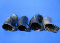 Wholesale Buffalo Horn Mug with an Engraved Native American Chief - 6 inch to 6-1/2 inch - $27.00 each; 8 pcs @ $24.00 each