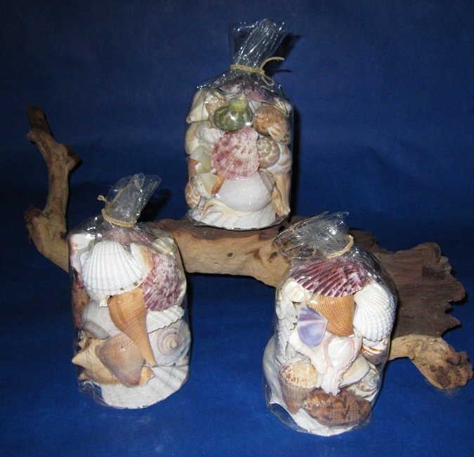 Wholesale Seashell Gift Bags filled with natural assorted seashells