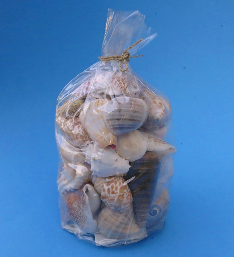 Wholesale Seashell Gift Bags filled with natural assorted seashells