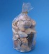 Wholesale Seashell Gift Bags filled with Natural Assortment Seashells in Clear Gift Bags - Packed: 4 pcs @ $2.10 each