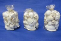 Wholesale Clear Gift Bags filled with Assorted White Seashells for Wedding Favors or seashell themed bridal showers 4-1/2 inches high - Case of 20 pcs @ $2.20 each