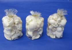 Wholesale Clear Gift Bags of White Shells for Wedding Favors and Bridal Showers filled with Assorted Seashells - Packed: 4 pcs @ $2.50 each