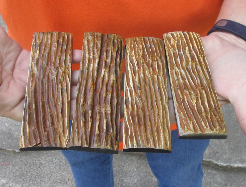 4pc of Antique Colored Stag Jigged Buffalo Horn Scales 5 x 11/2 x 3/8