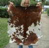 Real Goat Hide for sale (Capra aegagrus hircus) for sale 41 x 32 inches - review all photos - you are buying the goat hide pictured for $35 