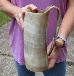 Polished 8" Ox Horn Mug, Cow Horn Mug with wood base/bottom. Available for $36