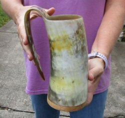 Polished 8" Buffalo Horn Mug, Ox Horn Mug with wood base/bottom. For Sale for $36