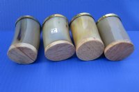 Wholesale Tan color Buffalo Viking Drinking Horn Shot Glass/cup with Brass Trim and Wood base - 3 inches tall - 2 pcs @ $7.75 each; 